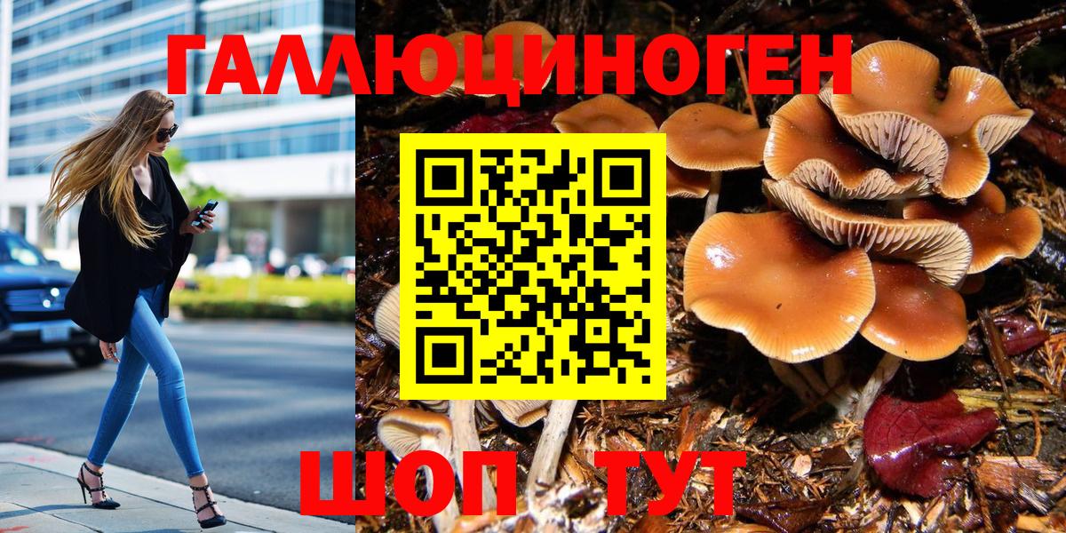 купить  сайты  Вход с VPN  Миасс  Псилоцибиновые грибы MAGIC MUSHROOMS 